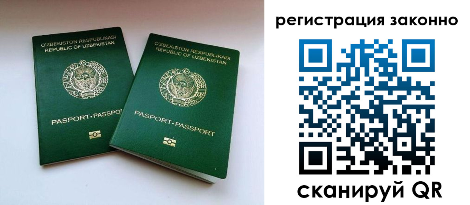 прописка гарантия в Новозыбкове